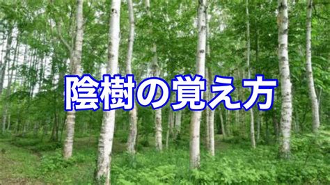 陽樹 種類|陰樹と陽樹の違いと代表的な樹木 